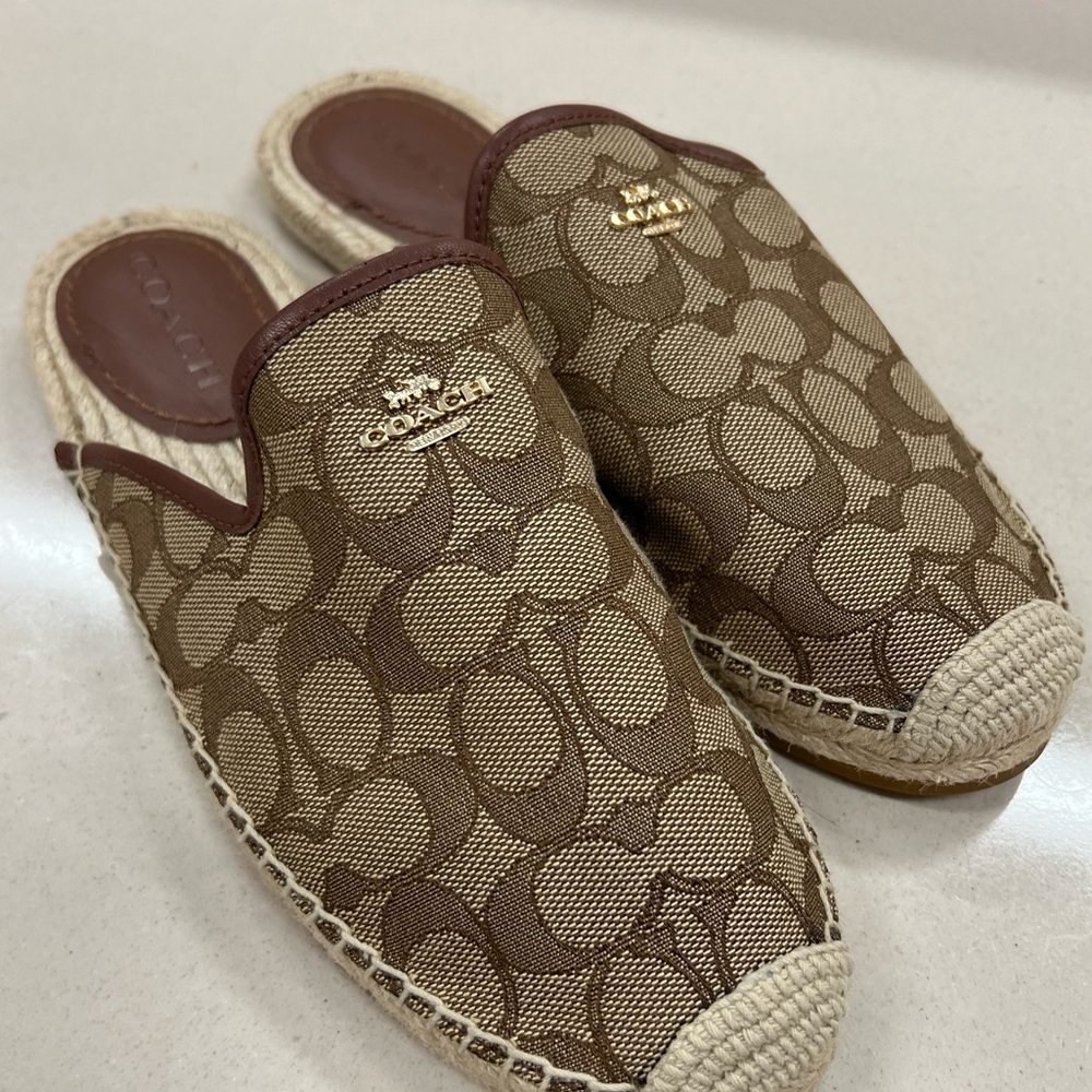Coach slides